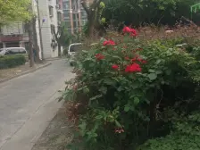 顶楼复式带露台,近地铁、近万达配套齐全、采光视野棒