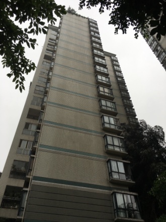 创新绿色家园实景图