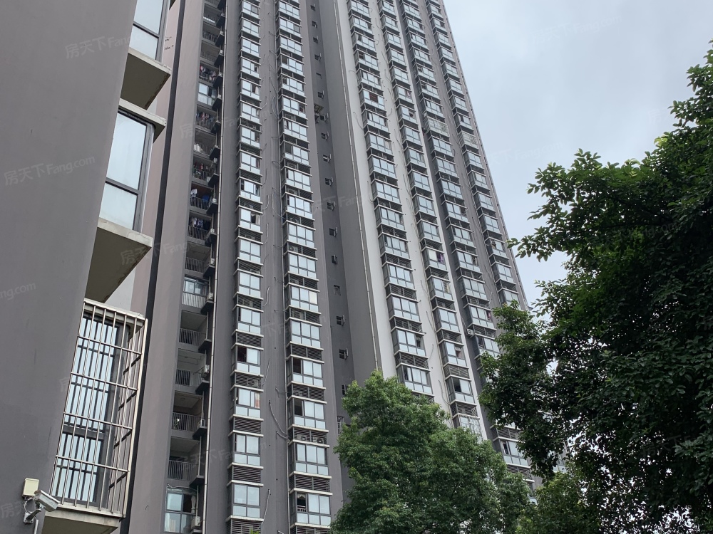 实景图