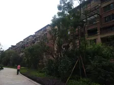 照母山 北大资源博雅四期三房272万