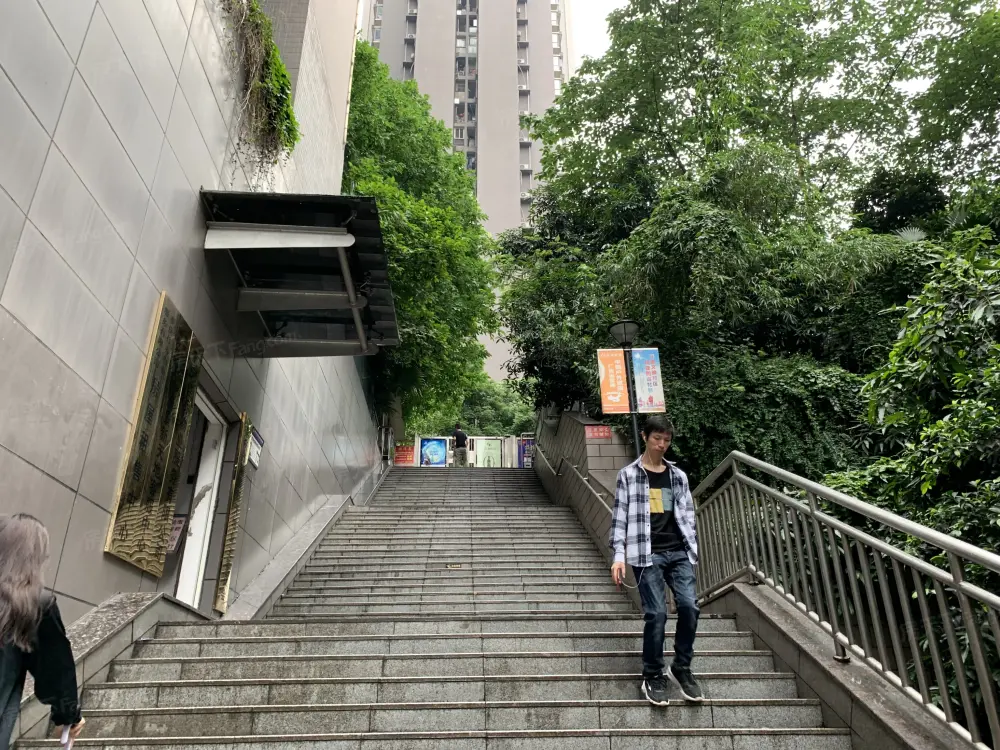实景图