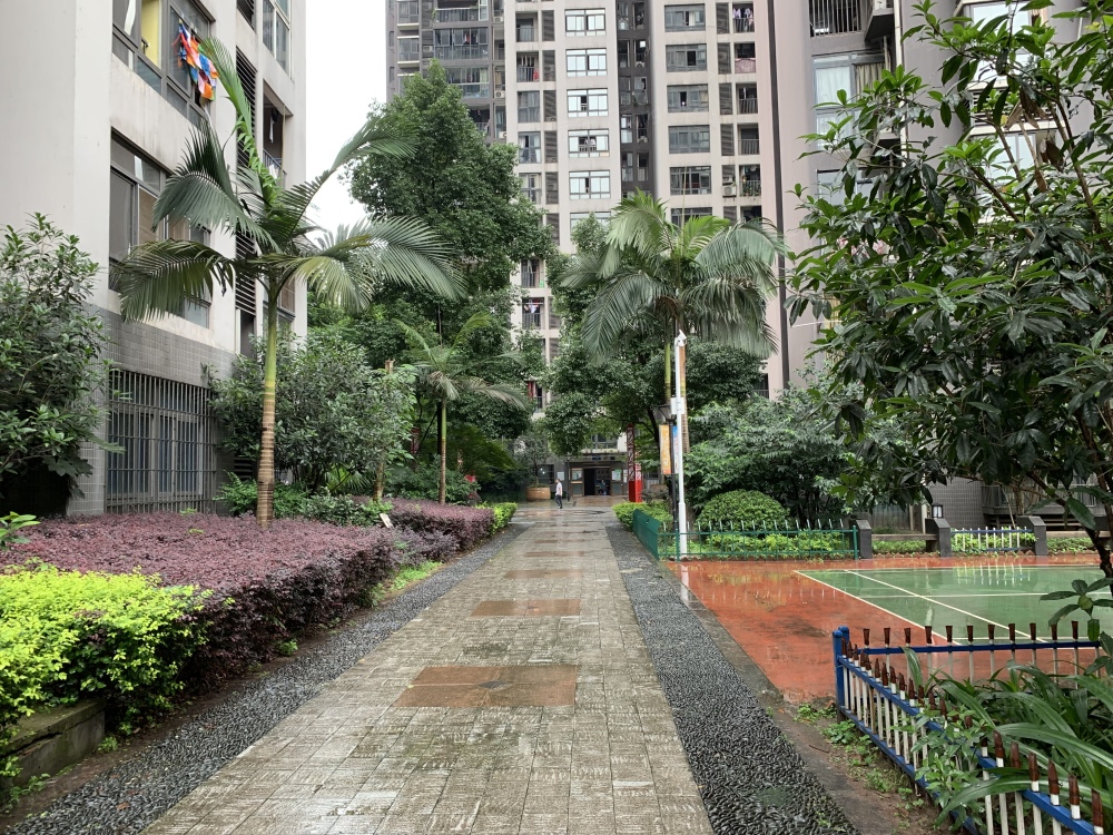 实景图