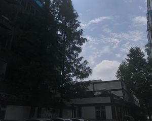 赞元茗居 3室2厅 东南