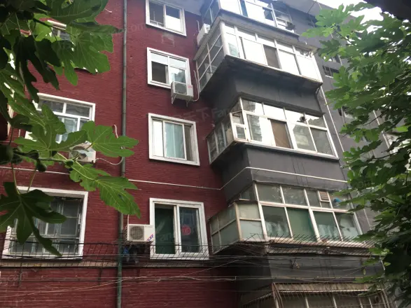 工农路木材公司宿舍实景图