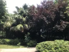 华府春城 4室2厅 北