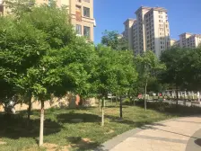 锦绣新天地 2室1厅 南