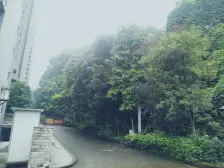 南滨路 南滨国际一房40万