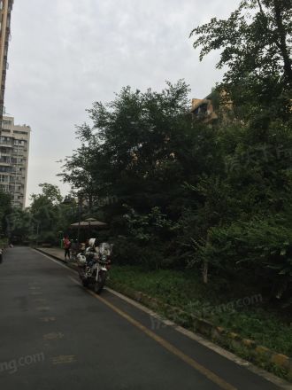 名城金典实景图