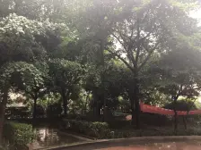 大坪 恒康丽景一房51.5万