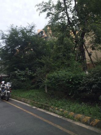 名城金典实景图