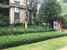 观音桥 保利江上明珠乐园三房133万