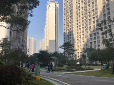 观澜碧桂园 5室2厅 南