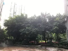 加州新牌坊 佳乐园二房76万