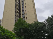 金地琥悦 毛坯 四房 138平 双阳台 南北对流