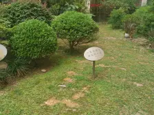 三房朝南&#x2B;两厅双阳台,江景房,全明户型,无斜角精装修