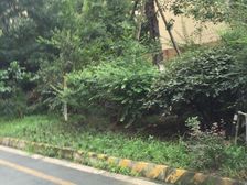 名城金典1室1厅东北