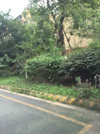 名城金典实景图