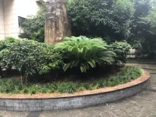 大坪 恒康丽景一房52万