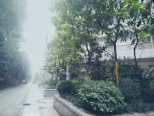 南滨国际 1室1厅 东