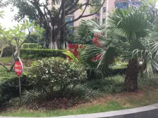 全景视野,无遮挡海景,现代轻奢装修 客厅挑高