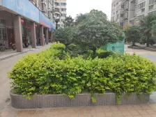 近公园,近地铁,双气小户型,小高层。