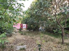 《三环内、地铁口》 配套齐全、采光好 、多层一楼