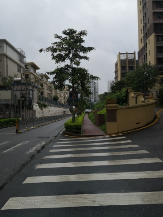 同创·九著实景图