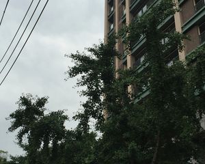 神仙树大院五期1室1厅南