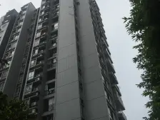 金杜洋光 正规两室两厅 干净整洁 拎包入住