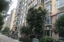 源枫景苑实景图