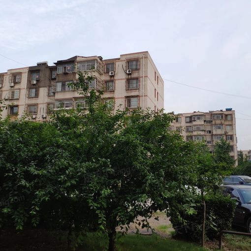  �ɻ���Է3��1��1���ϱ�����1500.00Ԫ/�³��� 