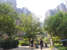 非常国际一期大院,中间楼层大四房,精装诚心出售