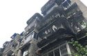 玉林东街13号院实景图