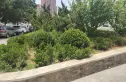 青果公寓实景图