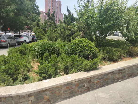 青果公寓实景图