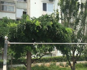 厂洼街17号院2室1厅南北
