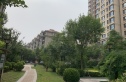 太阳城金旭园实景图