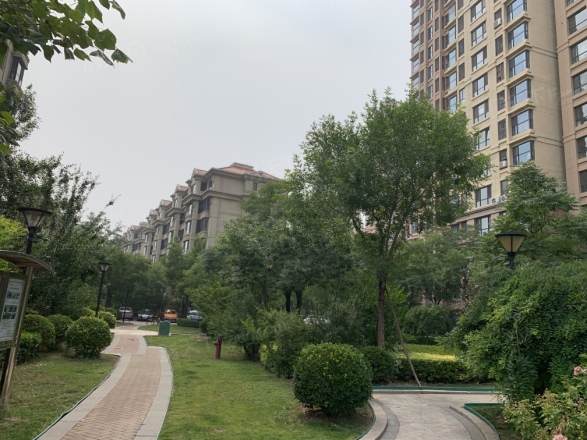 太阳城金旭园实景图