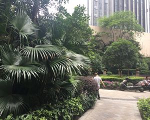 金牛万达C组团2室1厅南