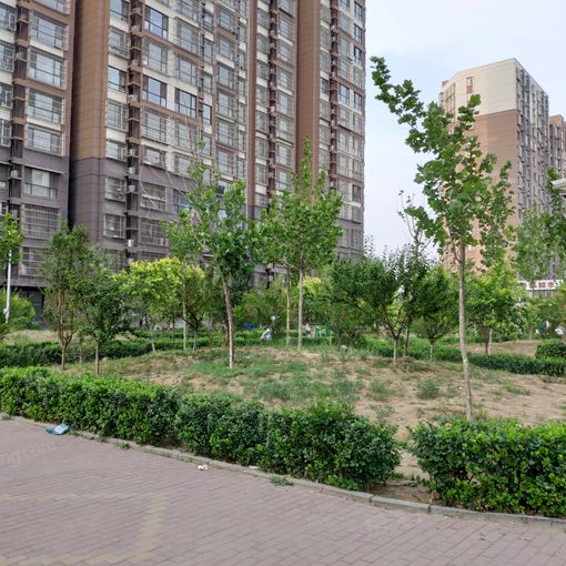  �ɻ�ʢ��1��1��1���ϳ���1000.00Ԫ/�³��� 