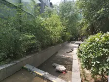 美景菩提 3室2厅 东南