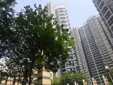 房子是业主自住的 精装修 可以拎包入住