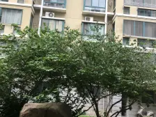 明晖园 4室2厅 南