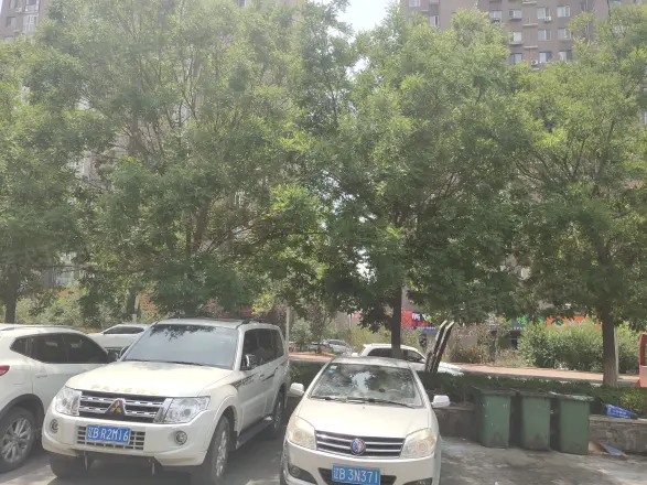 青果公寓实景图