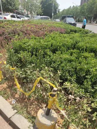 青果公寓实景图