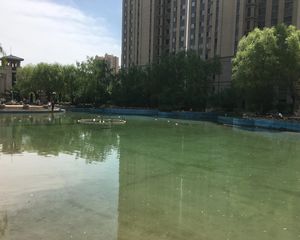 恒大名都3室1厅南北