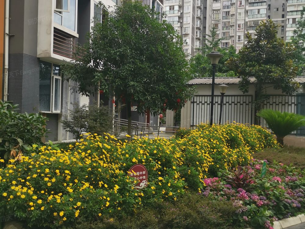 小区相关图