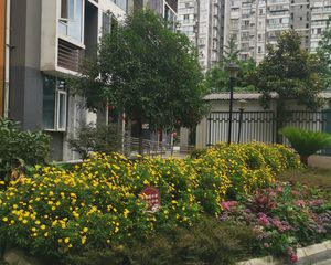 西映金沙2室1厅西北
