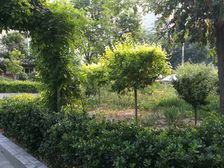 景泰嘉园2室1厅东北