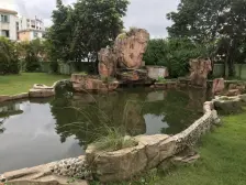 高层单间好出租随时可以看房莞城实小步行陆百米